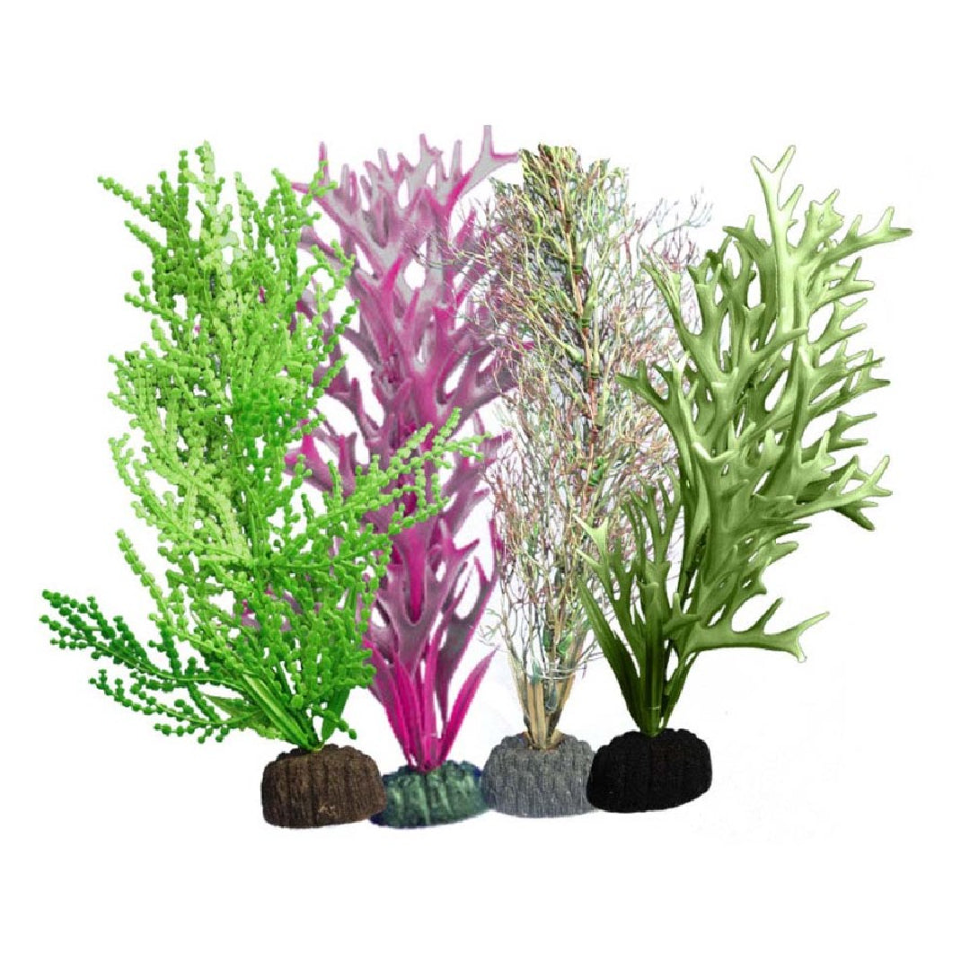 Weco Freshwater Plant Multipack 110