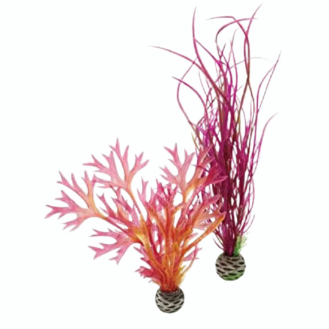 Oase Deco Plant Red & Pink -  Medium - 2pack