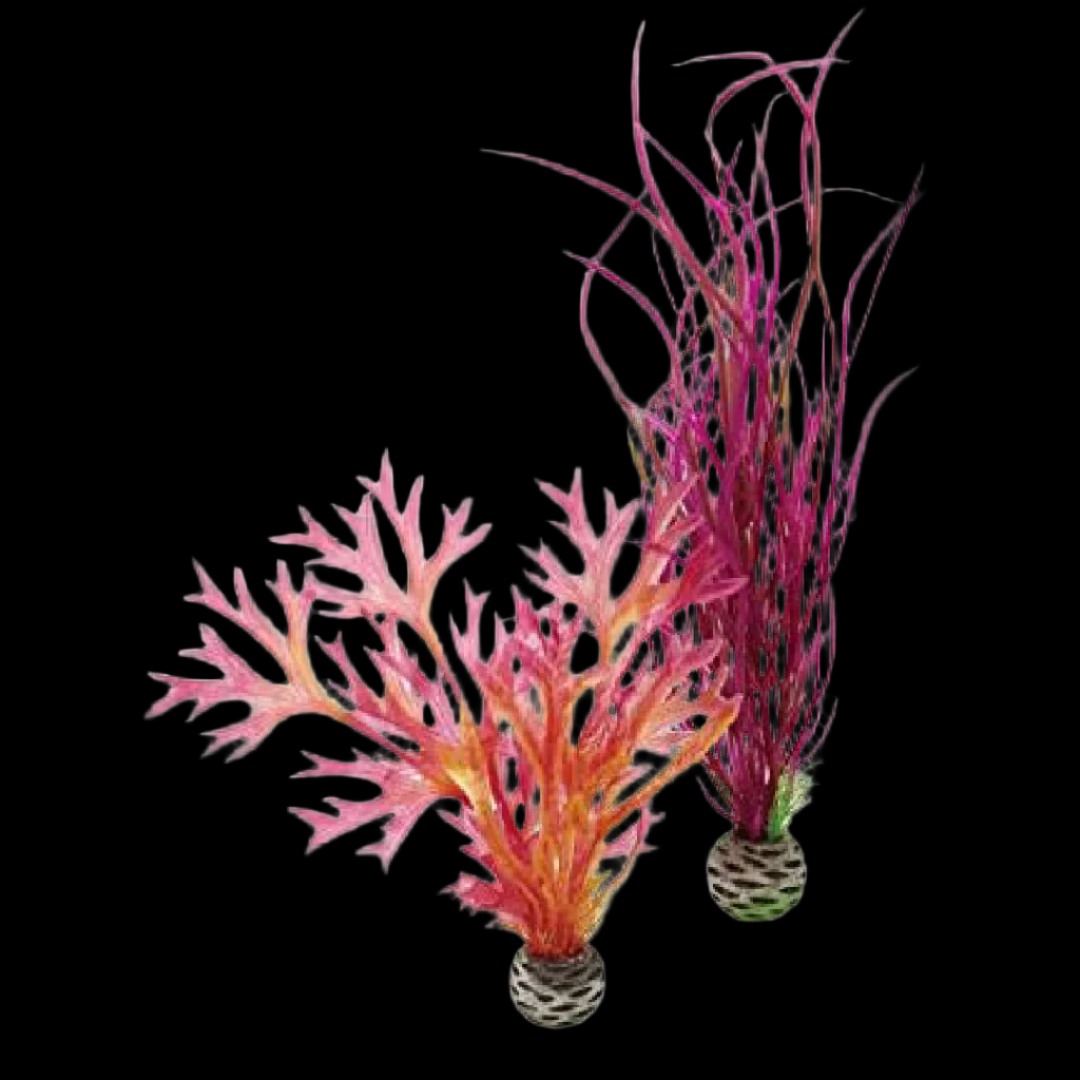 Oase Deco Plant Red & Pink -  Medium - 2pack