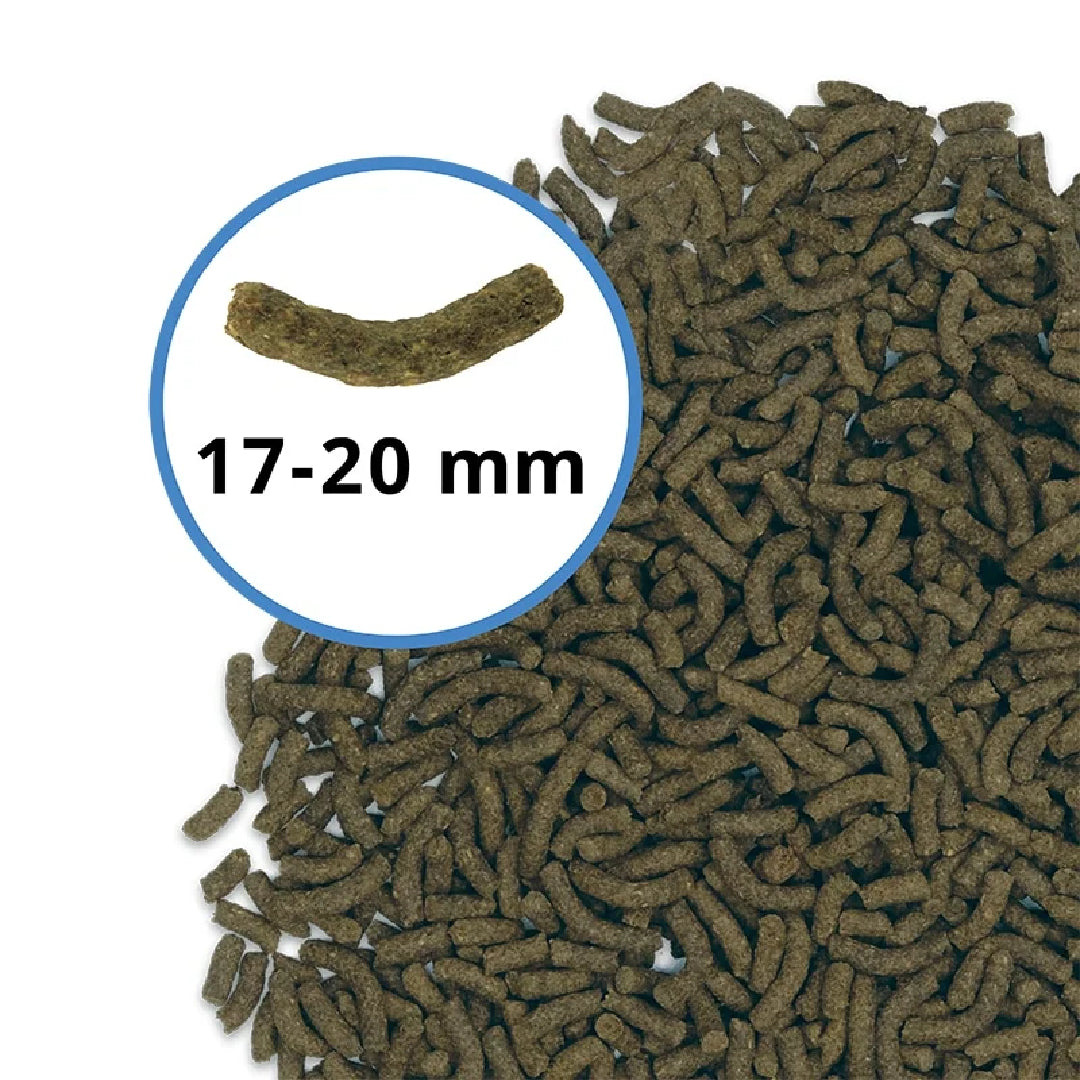 Fluval Bug Bites Bottom Feed Sticks Pleco - 4.6oz