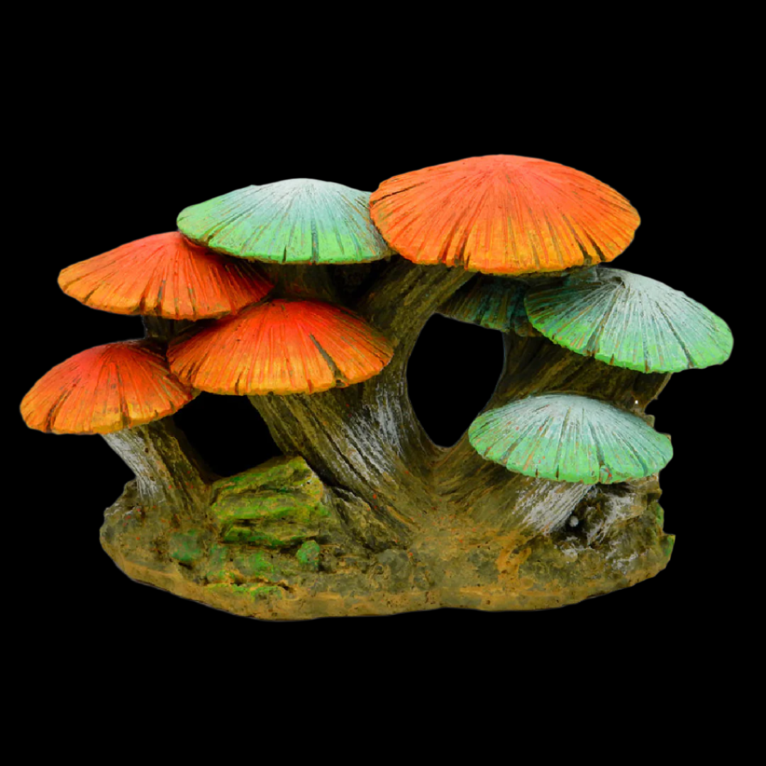 Blue Ribbon Pet Products Glowing Mushroom Garden Ornament