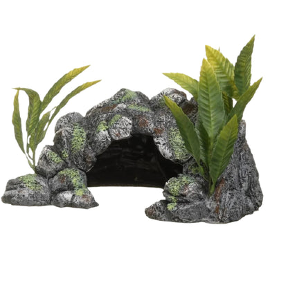 Marina Cave Ornament & Plant