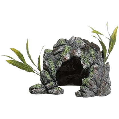 Marina Cave Ornament & Plant