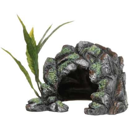 Marina Cave Ornament & Plant