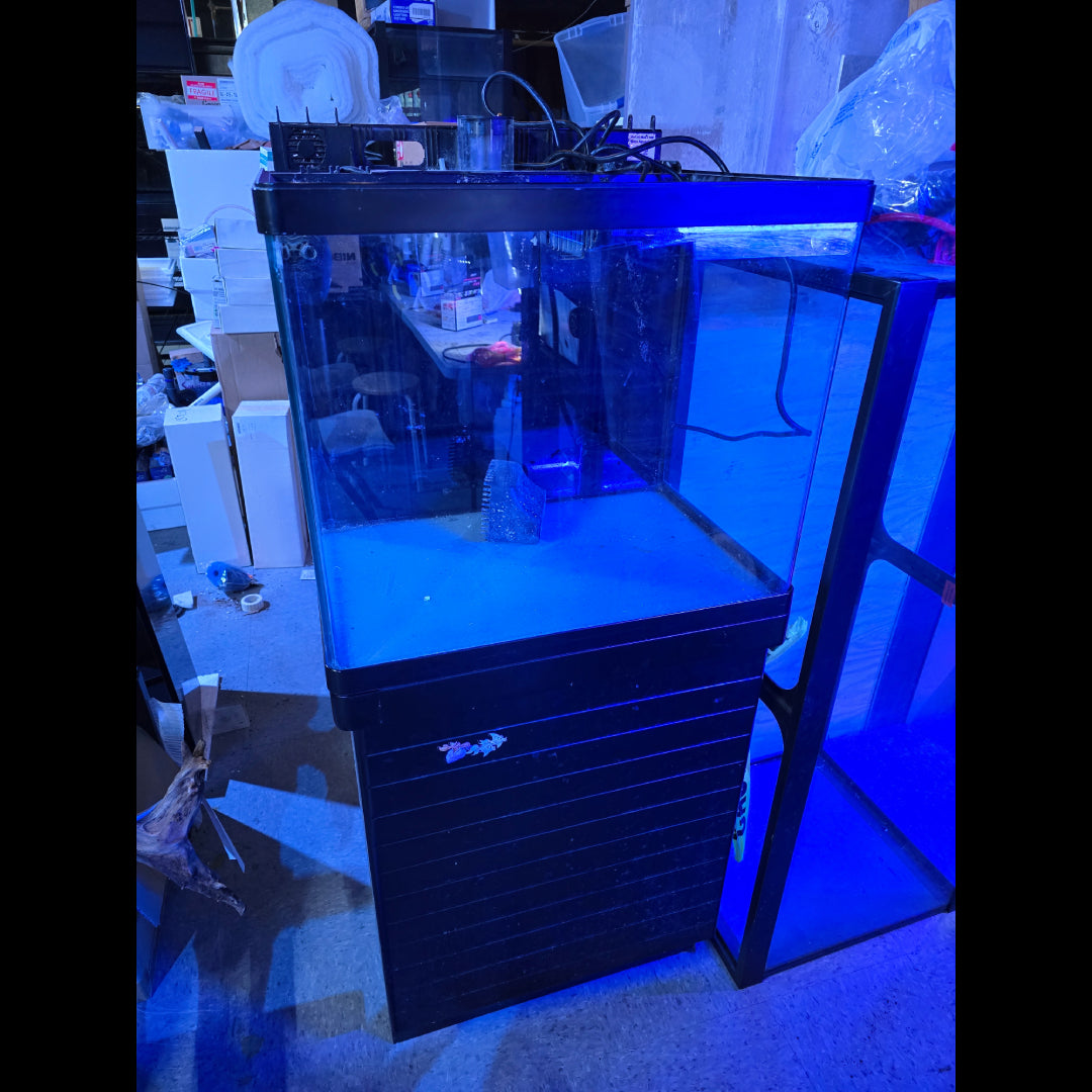 Used - RED SEA MAX - 34 gallon