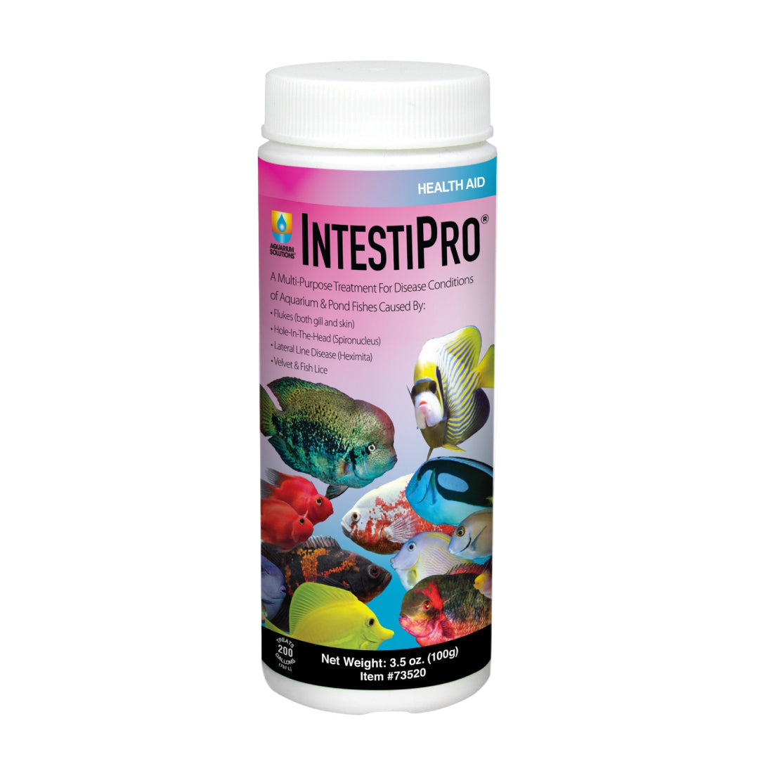 Hikari IntestiPro Medication