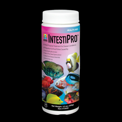 Hikari IntestiPro Medication