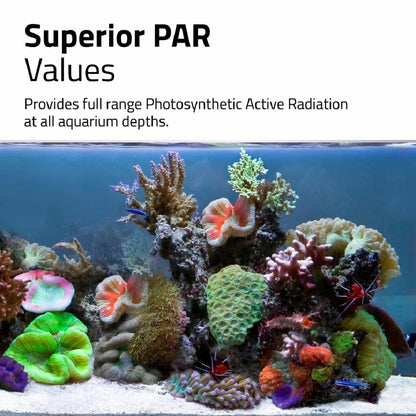 Fluval Reef Nano 4.0 LED with Bluetooth 25 watt