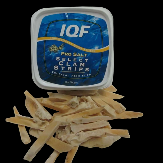 Pro Salt Frozen Food Clam Strips IQF