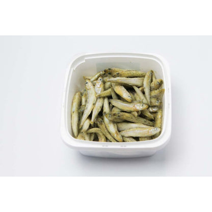 Pro Salt Frozen Food Silversides IQF
