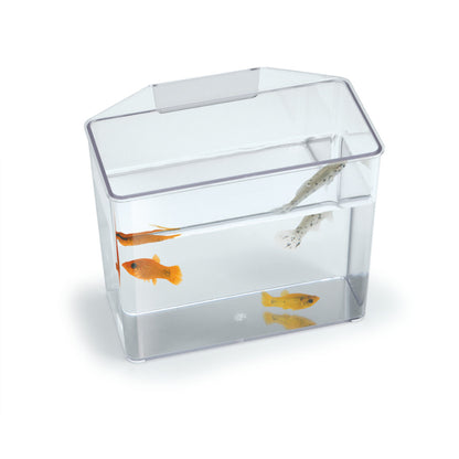 Lees Specimen Container