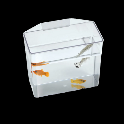 Lees Specimen Container