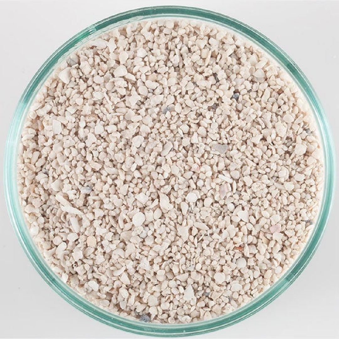 Caribsea Arag-Alive Special Grade