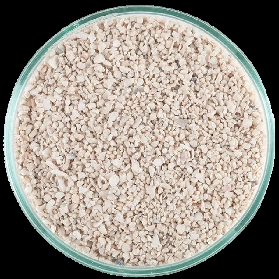 Caribsea Arag-Alive Special Grade