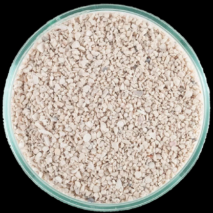 Caribsea Arag-Alive Special Grade