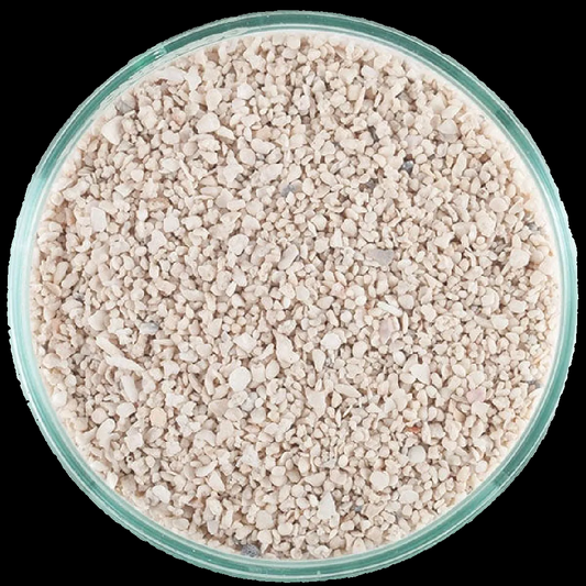 Caribsea Arag-Alive Special Grade
