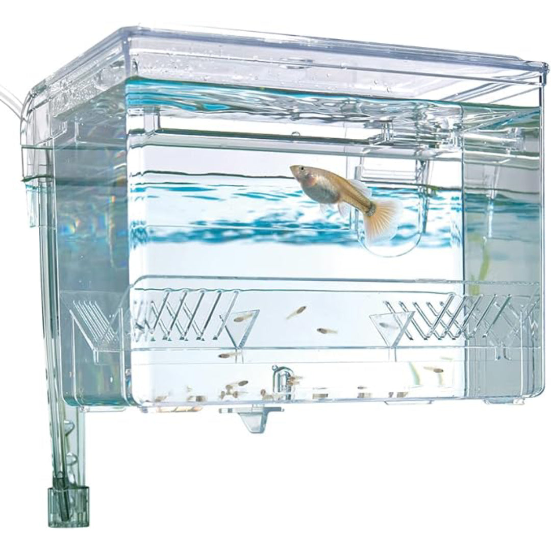 Fluval Hang-on Breeding Box