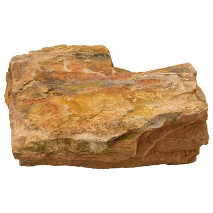 Estes Petrified Wood Stone