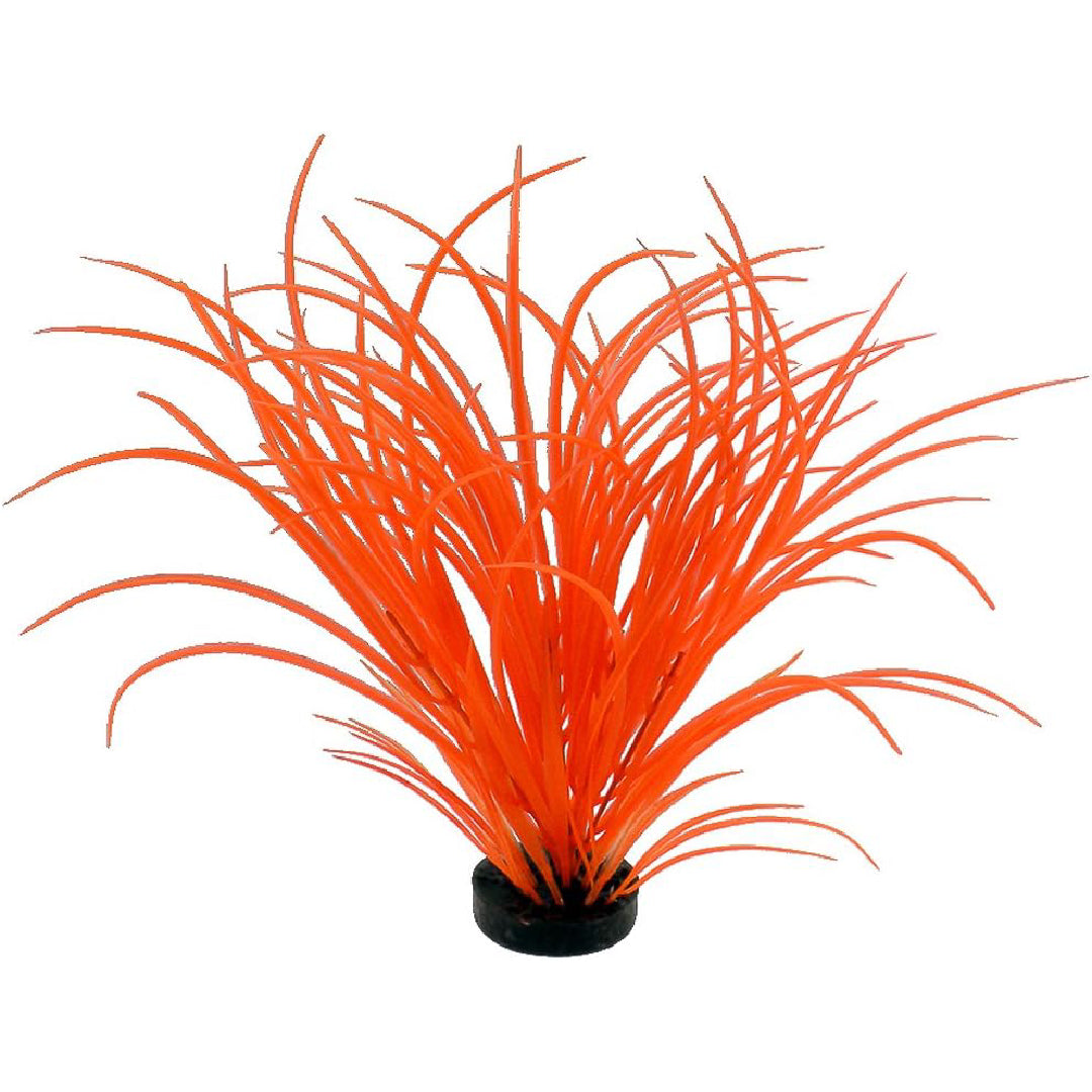 Blue Ribbon Neon Orange Color Burst Plant Ocean Grass