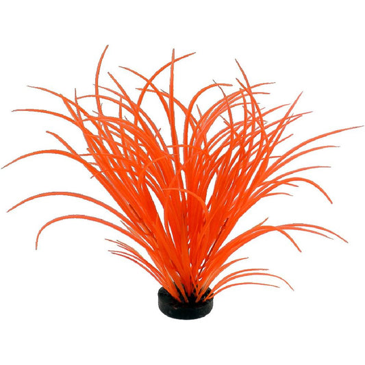 Blue Ribbon Neon Orange Color Burst Plant Ocean Grass