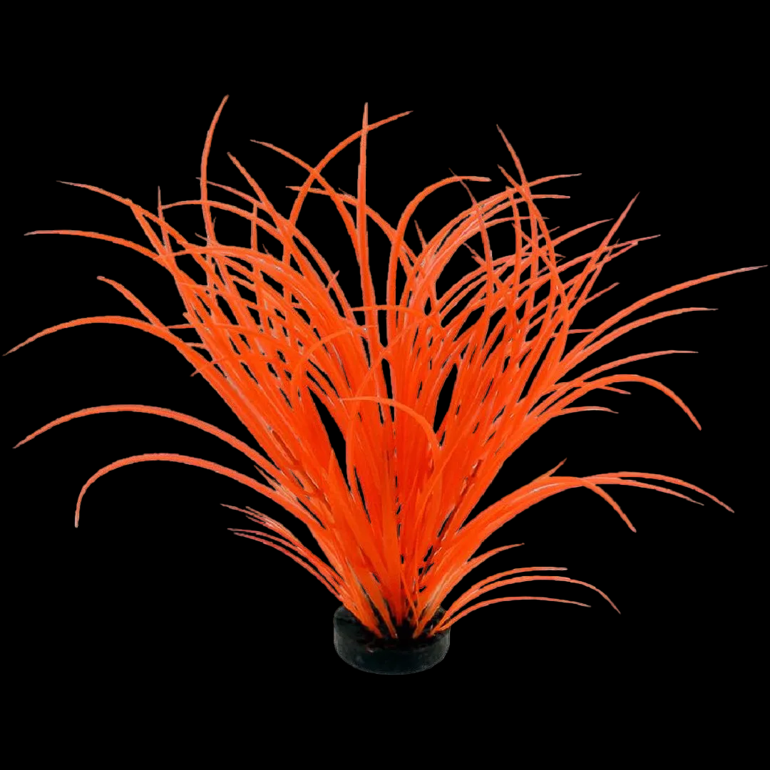 Blue Ribbon Neon Orange Color Burst Plant Ocean Grass