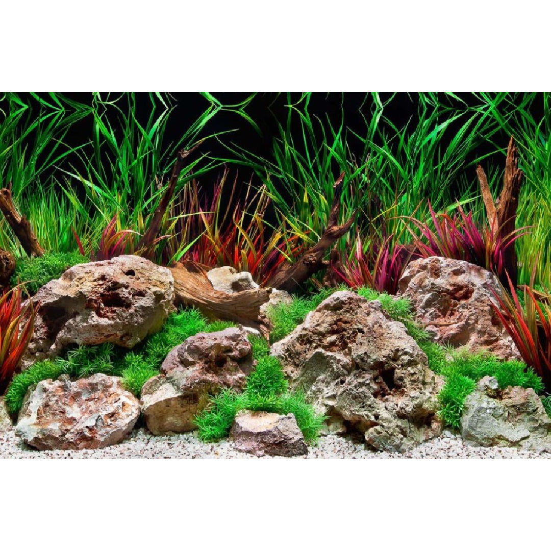 Seaview Double Sided Background Aquawild & Slateways