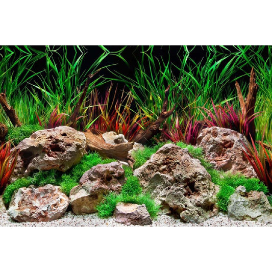 Seaview Double Sided Background Aquawild & Slateways