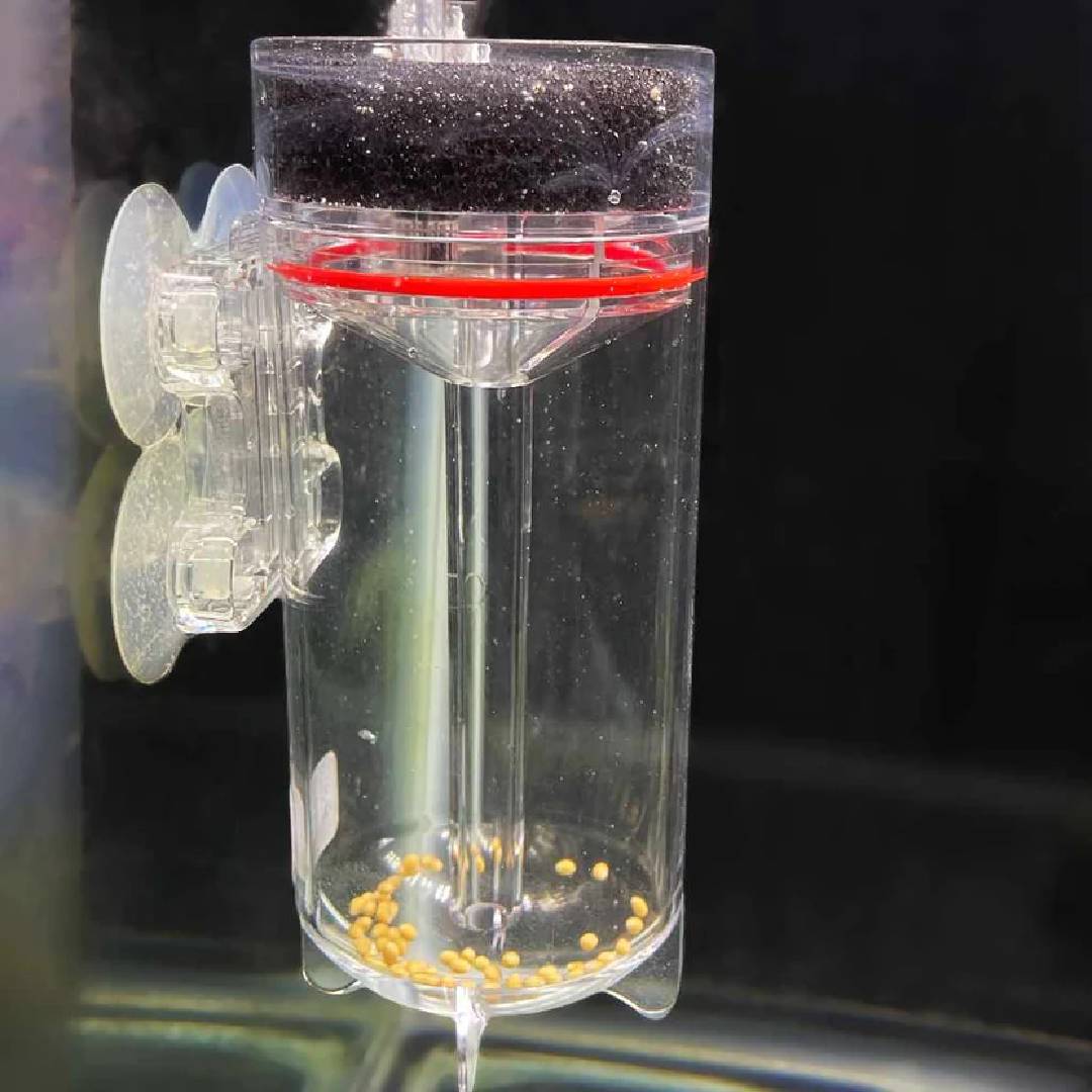 Ziss Egg Tumbler