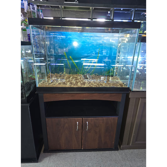 Used - 65 Gallon - Glass Tank - Set