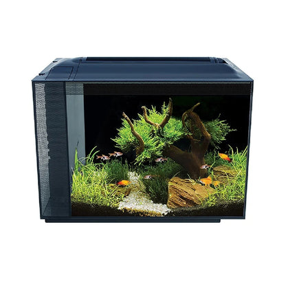 Fluval Spec 16 gal Aquarium Kit
