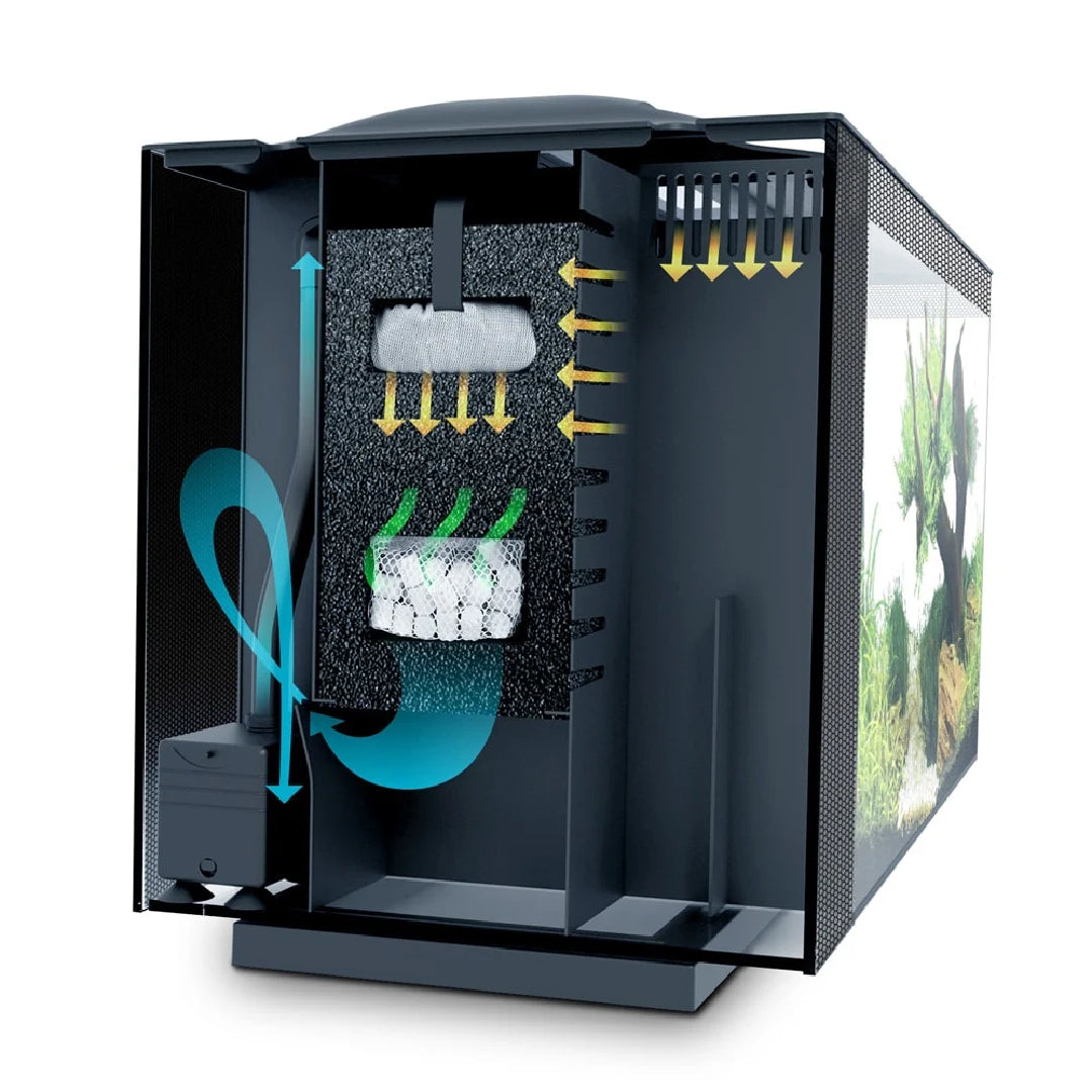 Fluval Spec 16 gal Aquarium Kit