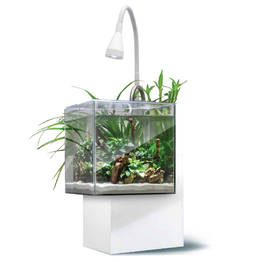 Fluval Kuhl Aquarium Kit