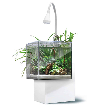 Fluval Kuhl Aquarium Kit