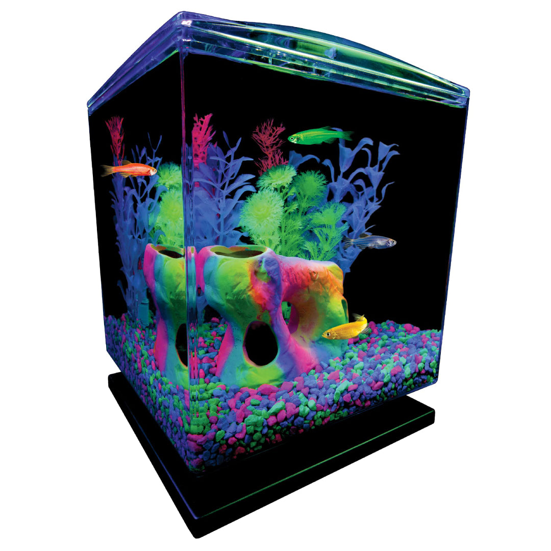 GloFish Substrate - Multicolor