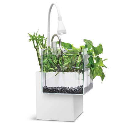 Fluval Kuhl Aquarium Kit