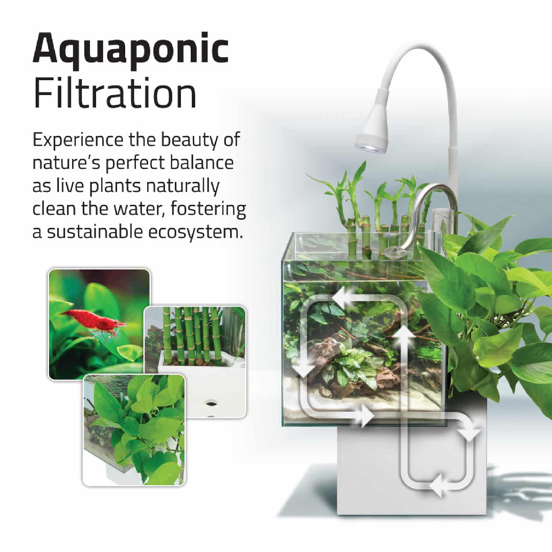 Fluval Kuhl Aquarium Kit