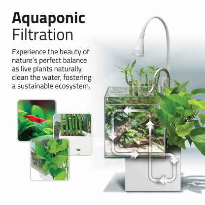 Fluval Kuhl Aquarium Kit