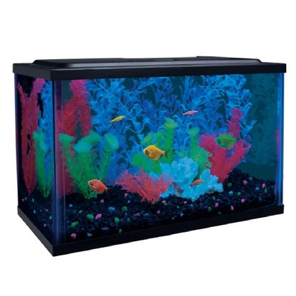 GloFish Cresent Aquarium Kit - 5 gallon