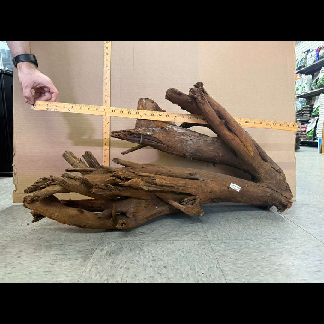 CR Malaysian Driftwood
