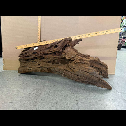 CR Malaysian Driftwood