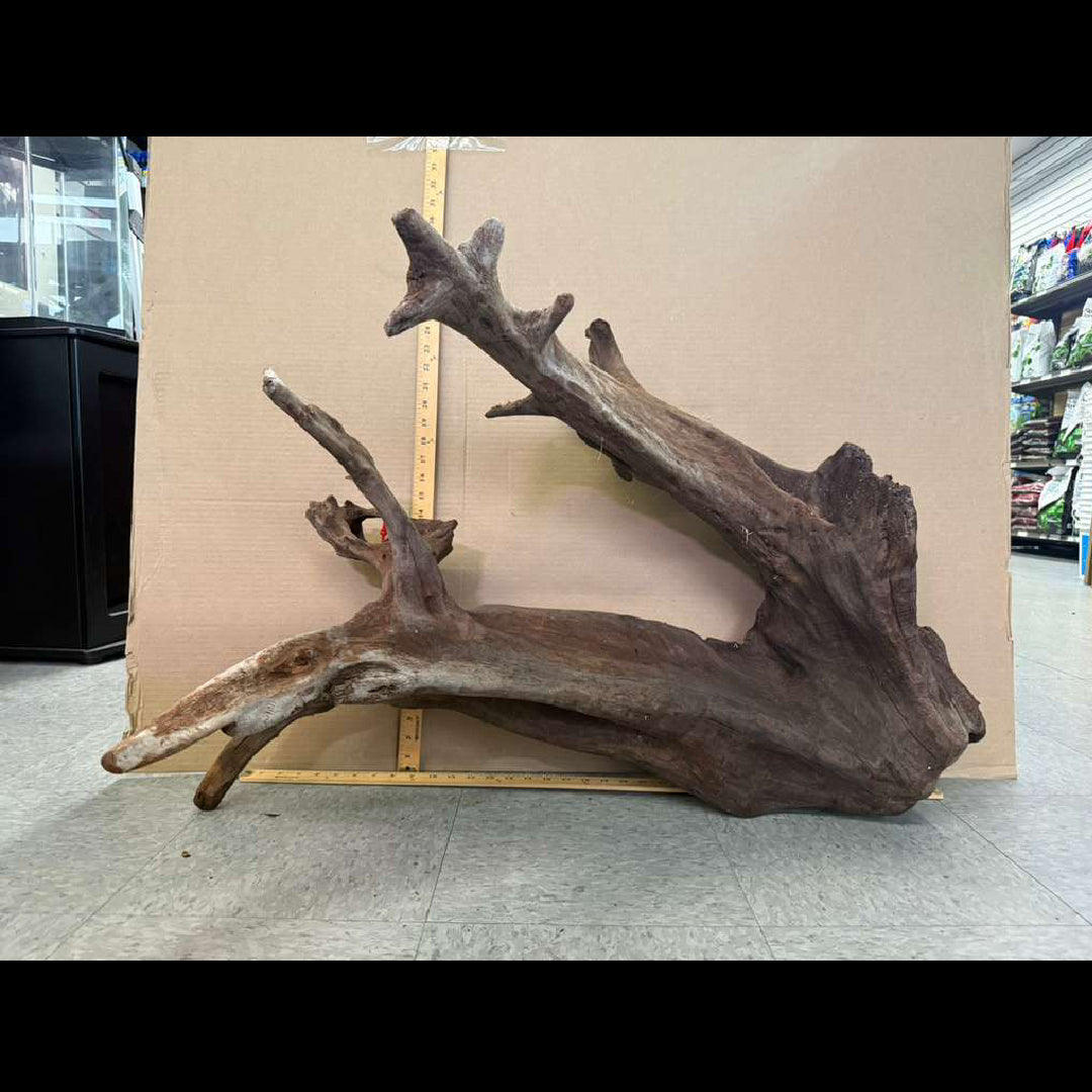 CR Ancient Red Cedar