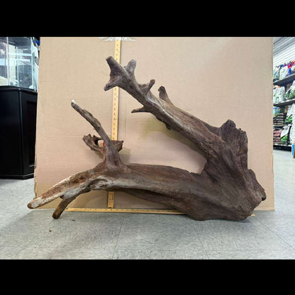 CR Ancient Red Cedar