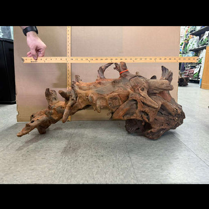 CR Ancient Red Cedar