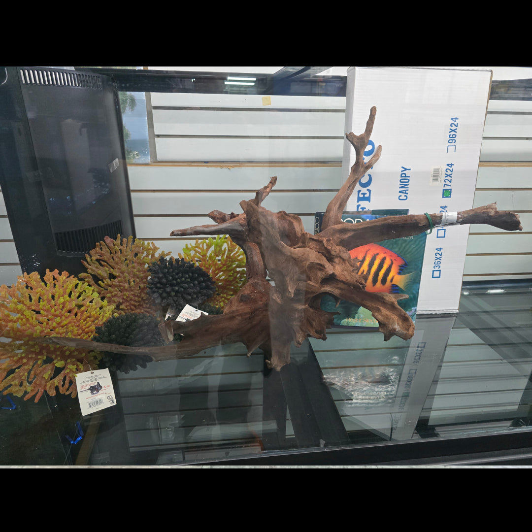 CR Ancient Red Cedar