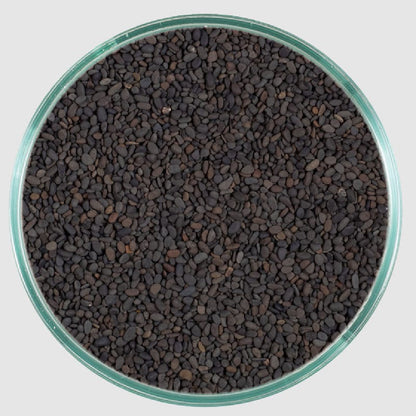 CaribSea Substrate - Midnight River