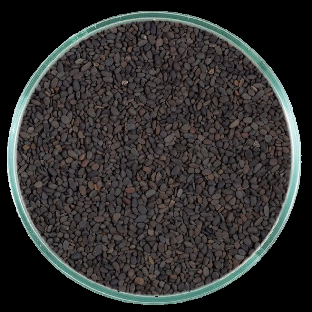 CaribSea Substrate - Midnight River