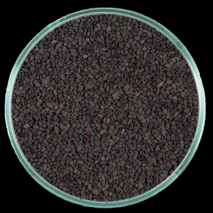 CaribSea Substrate - Midnight River