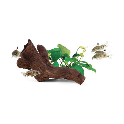 Aquavitro Ceramic Hides