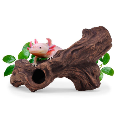 Aquavitro Ceramic Hides