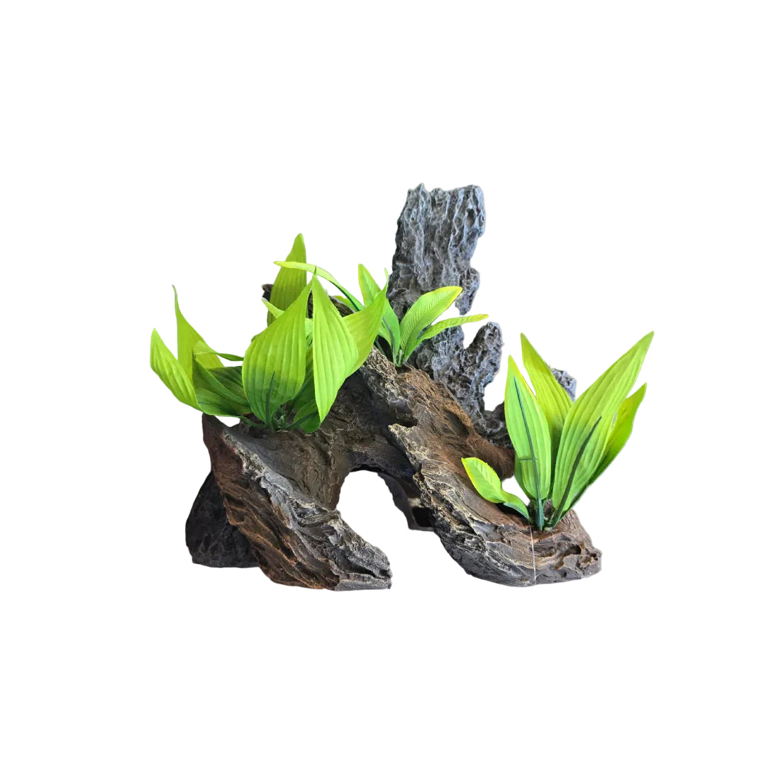 Blue Ribbon Rock & Wood Outcropping